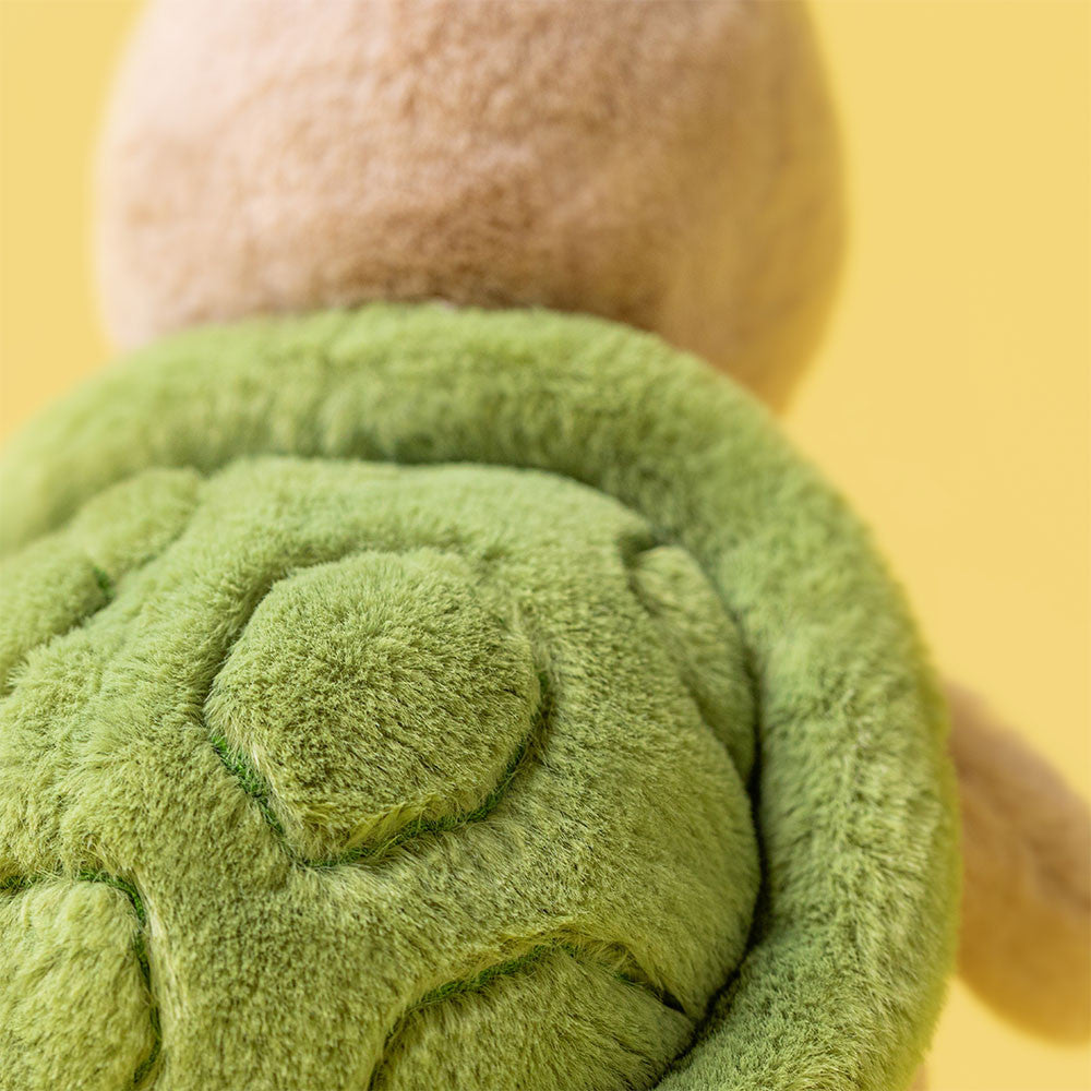 Thimble Turtle