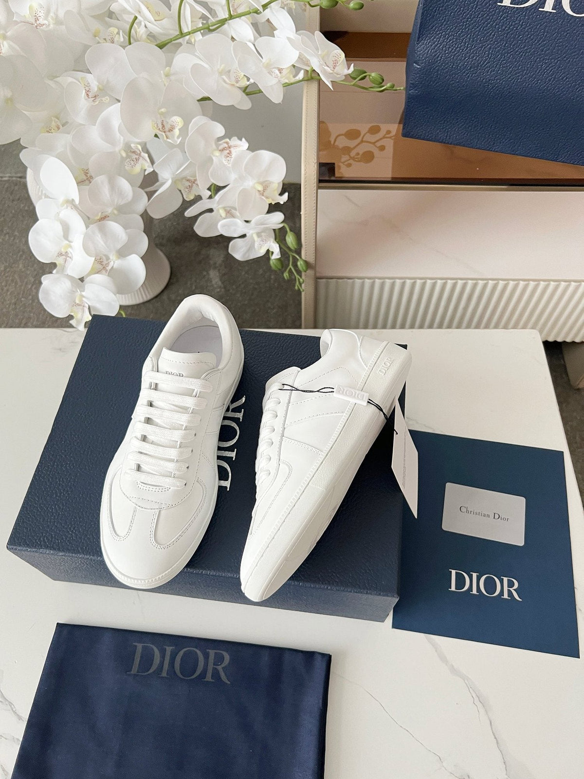 Dior B01 Low-Top Sneakers
